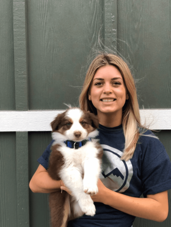 Meet The Movers Best of the West Movers, Kaysville Utah